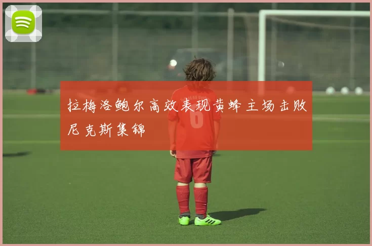拉梅洛鲍尔高效表现黄蜂主场击败尼克斯集锦