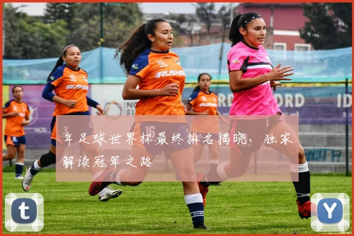 年足球世界杯最终排名揭晓，独家解读冠军之路