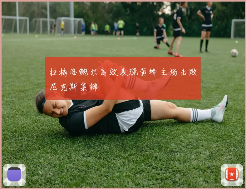 拉梅洛鲍尔高效表现黄蜂主场击败尼克斯集锦