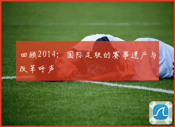 回顾2014:国际足联的赛事遗产与改革呼声