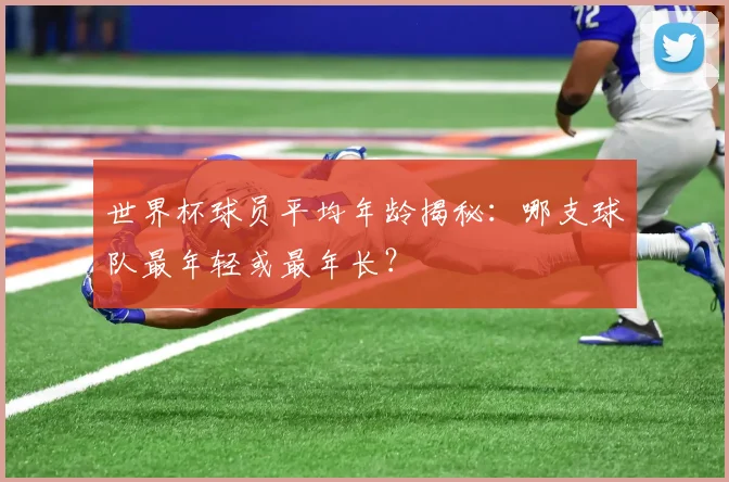 世界杯球员平均年龄揭秘：哪支球队最年轻或最年长？